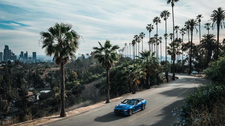 Consejos para conducir en California