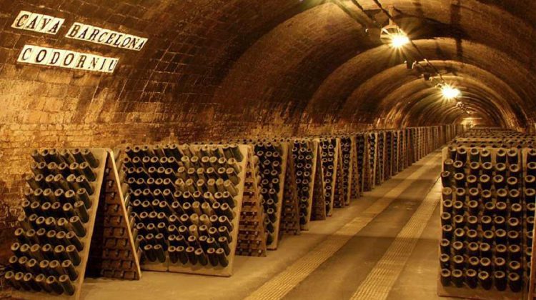 Excursiones de un día desde Barcelona: Bodegas en El Penedés