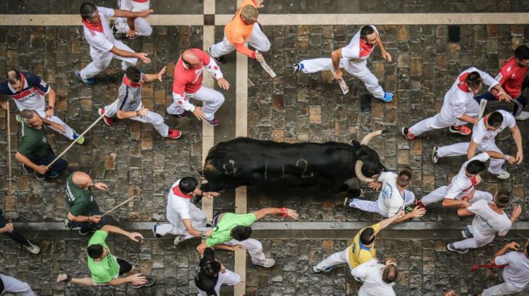 Qué ver en Pamplona en un día: Ruta de los Sanfermines