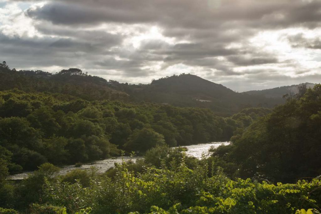 Piragüismo en España: río Ulla, Galicia.