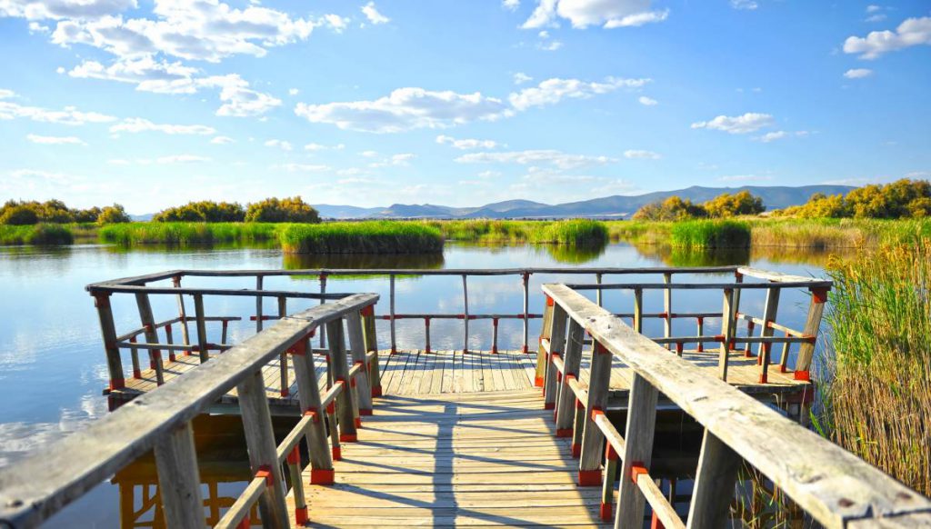 Las Tablas de Daimiel, uno de los parques nacionales cercanos a Madrid más atractivos.