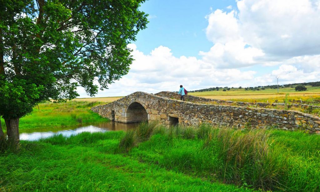 Ruta de la plata en coche: Cáceres