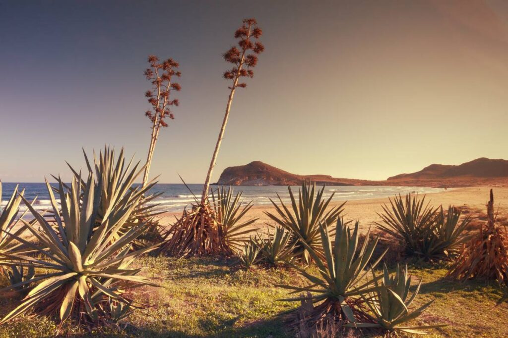 Las playas más bonitas de Andalucía: Playa de los Genoveses, Almería.