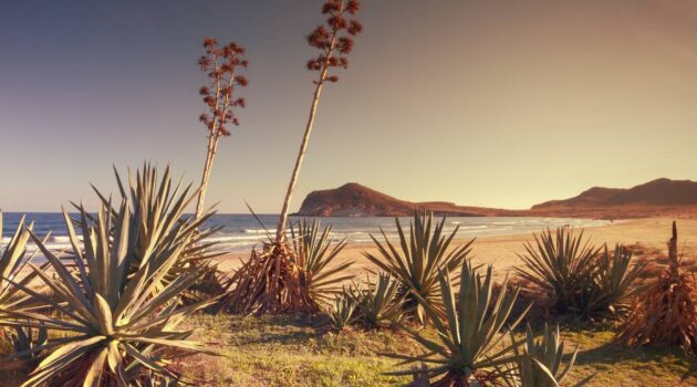 Las playas más bonitas de Andalucía: Playa de los Genoveses, Almería.